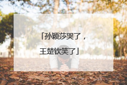 孙颖莎哭了，王楚钦笑了