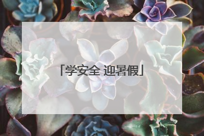 学安全 迎暑假