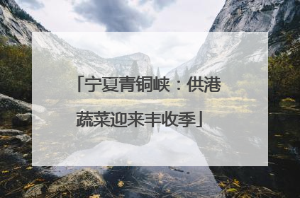 宁夏青铜峡：供港蔬菜迎来丰收季