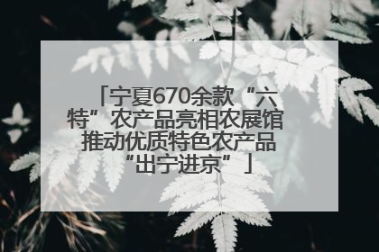 宁夏670余款“六特”农产品亮相农展馆 推动优质特色农产品“出宁进京”