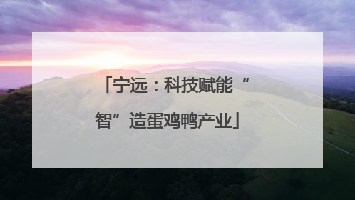 宁远：科技赋能“智”造蛋鸡鸭产业