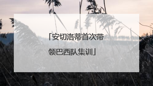 安切洛蒂首次带领巴西队集训