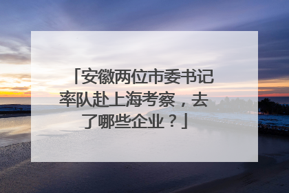 安徽两位市委书记率队赴上海考察，去了哪些企业？