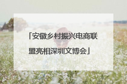 安徽乡村振兴电商联盟亮相深圳文博会