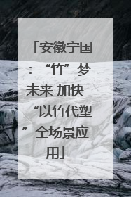 安徽宁国：“竹”梦未来 加快“以竹代塑”全场景应用