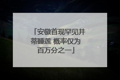 安徽首现罕见并蒂睡莲 概率仅为百万分之一