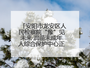 安阳市龙安区人民检察院“豫”见未来·润苗未成年人综合保护中心正式揭牌