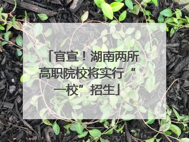 官宣！湖南两所高职院校将实行“一校”招生