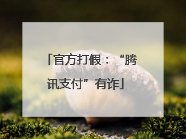 官方打假：“腾讯支付”有诈