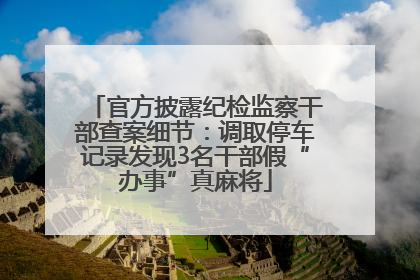 官方披露纪检监察干部查案细节：调取停车记录发现3名干部假“办事”真麻将