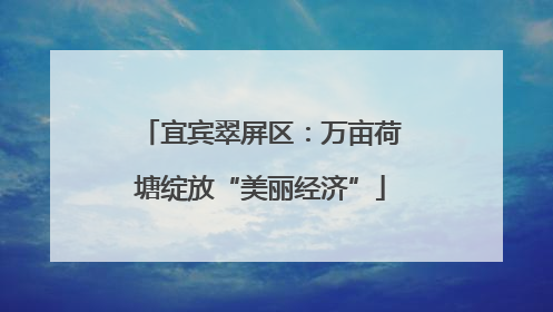 宜宾翠屏区：万亩荷塘绽放“美丽经济”