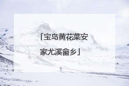 宝岛黄花菜安家尤溪畲乡