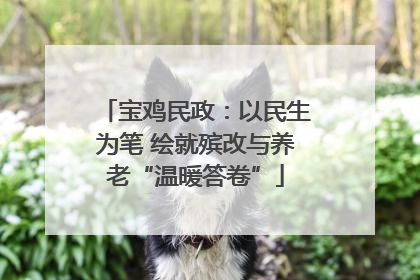 宝鸡民政：以民生为笔 绘就殡改与养老“温暖答卷”