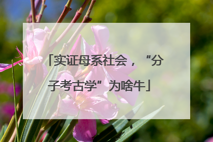 实证母系社会，“分子考古学”为啥牛