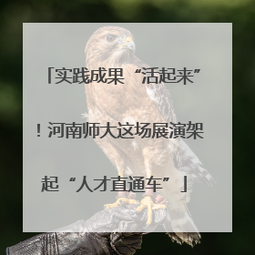 实践成果“活起来”！河南师大这场展演架起“人才直通车”