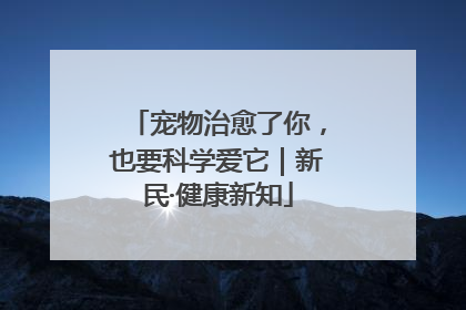 宠物治愈了你，也要科学爱它｜新民·健康新知
