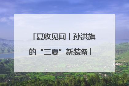 夏收见闻丨孙洪旗的“三夏”新装备