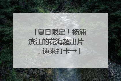 夏日限定！杨浦滨江的花海超出片，速来打卡→