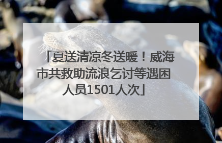夏送清凉冬送暖！威海市共救助流浪乞讨等遇困人员1501人次