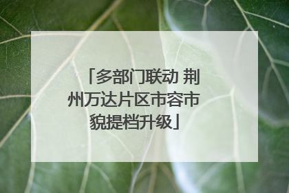 多部门联动 荆州万达片区市容市貌提档升级