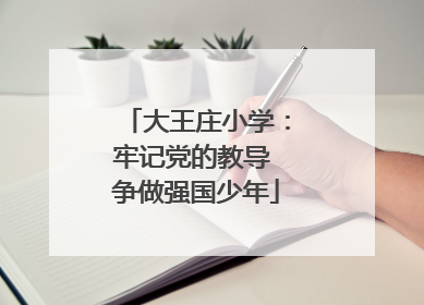 大王庄小学：牢记党的教导 争做强国少年