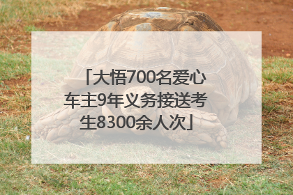 大悟700名爱心车主9年义务接送考生8300余人次