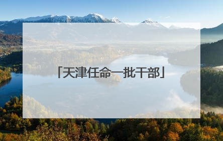 天津任命一批干部
