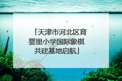 天津市河北区育婴里小学国际象棋共建基地启航