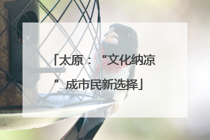 太原：“文化纳凉”成市民新选择