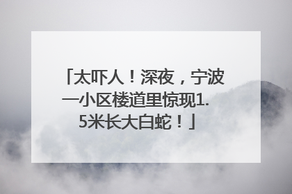 太吓人！深夜，宁波一小区楼道里惊现1.5米长大白蛇！