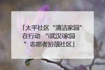 太平社区“清洁家园”在行动 “i武汉i家园”志愿者扮靓社区