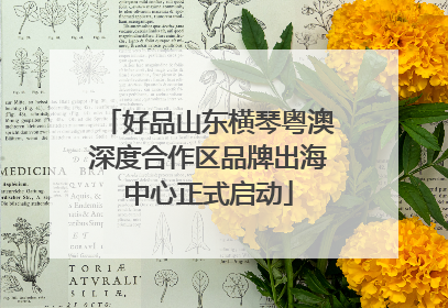 好品山东横琴粤澳深度合作区品牌出海中心正式启动