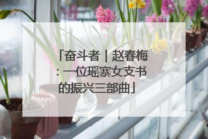 奋斗者｜赵春梅：一位瑶寨女支书的振兴三部曲