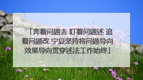 奔着问题去 盯着问题述 追着问题改 宁夏坚持将问题导向效果导向贯穿述法工作始终