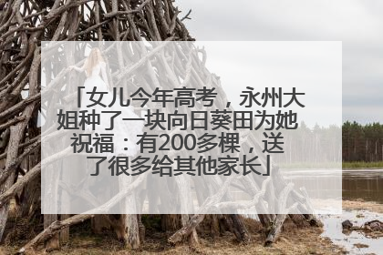 女儿今年高考，永州大姐种了一块向日葵田为她祝福：有200多棵，送了很多给其他家长