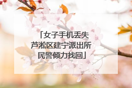 女子手机丢失 芦淞区建宁派出所民警倾力找回