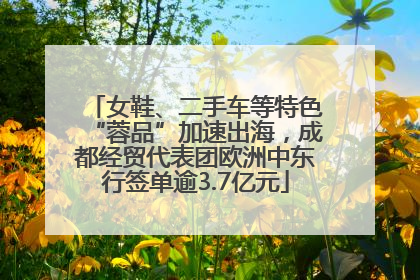 女鞋、二手车等特色“蓉品”加速出海，成都经贸代表团欧洲中东行签单逾3.7亿元