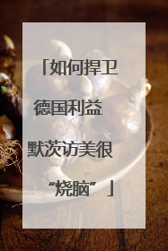如何捍卫德国利益 默茨访美很“烧脑”