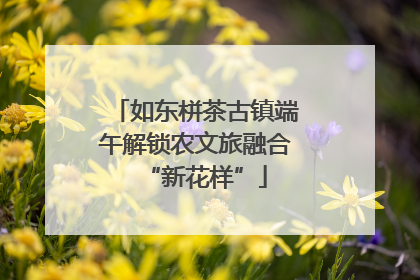 如东栟茶古镇端午解锁农文旅融合“新花样”