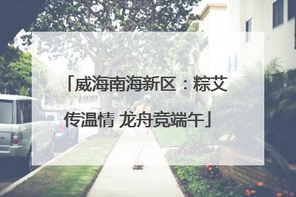 威海南海新区：粽艾传温情 龙舟竞端午
