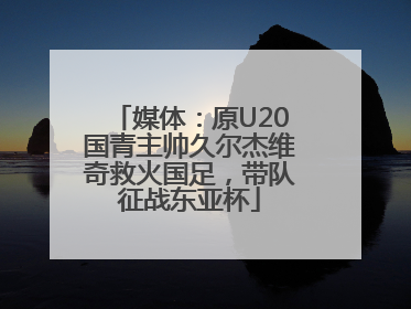 媒体：原U20国青主帅久尔杰维奇救火国足，带队征战东亚杯