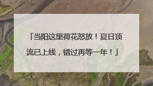 当阳这里荷花怒放！夏日顶流已上线，错过再等一年！