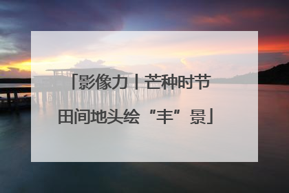 影像力丨芒种时节 田间地头绘“丰”景