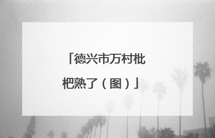 德兴市万村枇杷熟了（图）