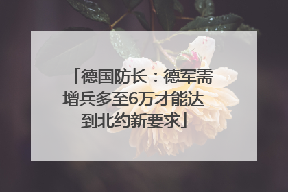 德国防长：德军需增兵多至6万才能达到北约新要求