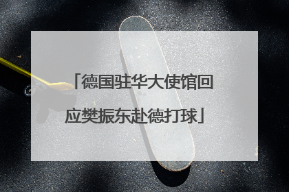 德国驻华大使馆回应樊振东赴德打球