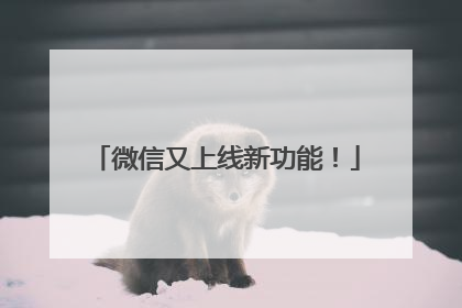 微信又上线新功能！