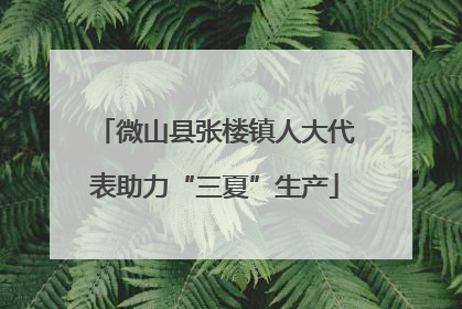 微山县张楼镇人大代表助力“三夏”生产