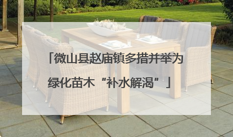 微山县赵庙镇多措并举为绿化苗木“补水解渴”