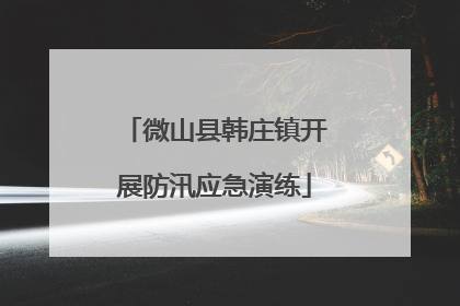 微山县韩庄镇开展防汛应急演练